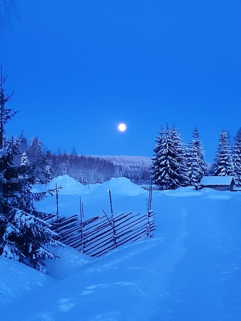 Kuvassa on sinisävyinen, talvinen maalaismaisema. Taivaalla näkyy kuu. Lumikinokset ovat korkeita. Vasemmalla etualalla näkyy pisteaita, oikeassa reunassa aittarakennus.