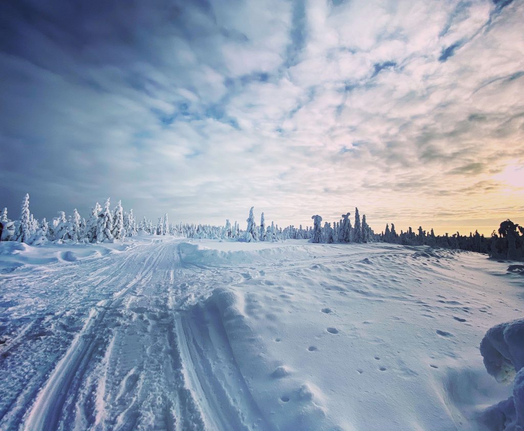 Kuvassa näkyy talvinen hanki, latu-ura, kuusia ja pilvistä taivasta. 