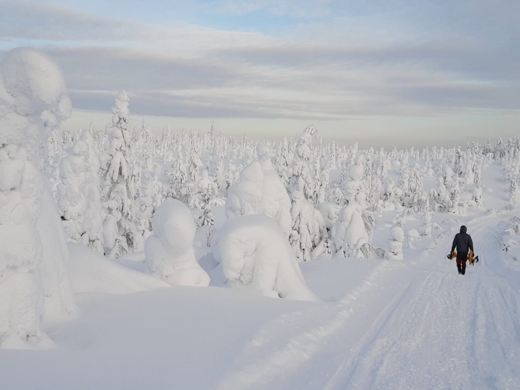 Kuvassa näkyy talvinen maisema ja tykkylumikuusia. Kuvan oikeassa reunassa ulkoilija kantaa lumikenkiä käsissään.