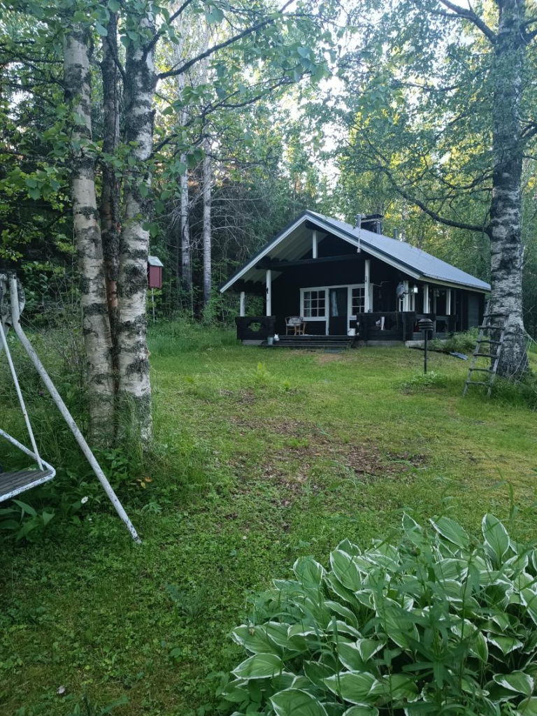 Tulisaari