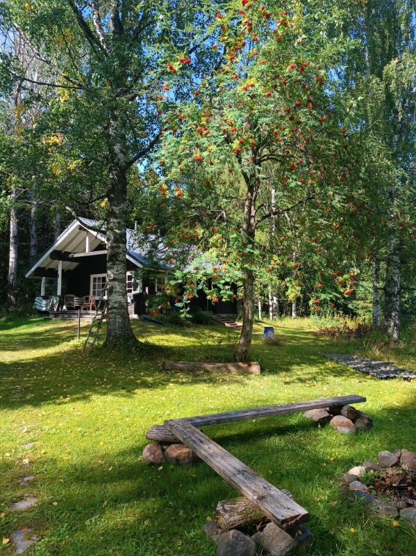 Tulisaari