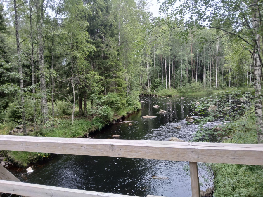 Ylä-Luosta, 1
